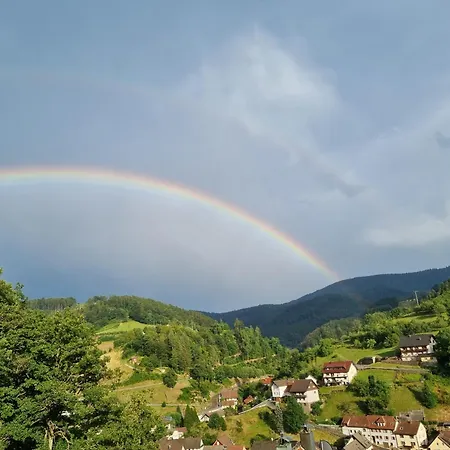 Panter- Traumaussicht Im Schwarzwald *