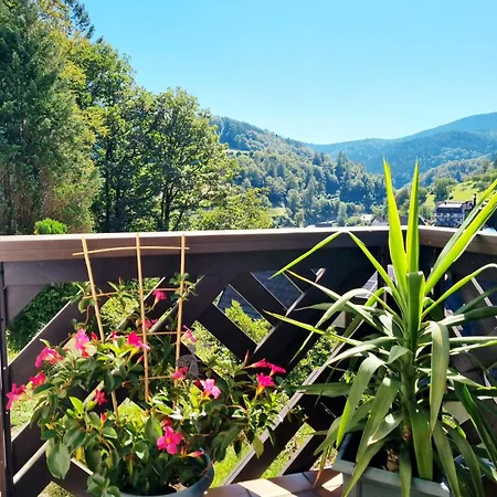 Panter- Traumaussicht Im Schwarzwald Apartment Bad Peterstal-Griesbach