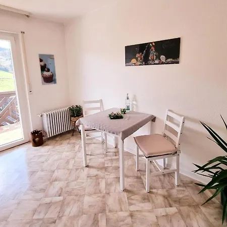 Panter- Traumaussicht Im Schwarzwald * Bad Peterstal-Griesbach