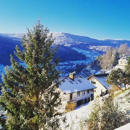 Panter- Traumaussicht Im Schwarzwald *