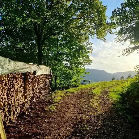 Panter- Traumaussicht Im Schwarzwald *