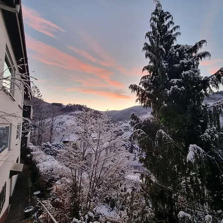 Panter- Traumaussicht Im Schwarzwald * Bad Peterstal-Griesbach