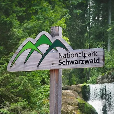 Panter- Traumaussicht Im Schwarzwald *