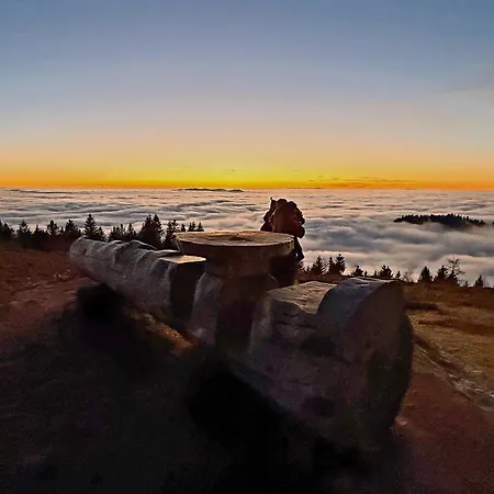 Apartman Panter- Traumaussicht Im Schwarzwald *