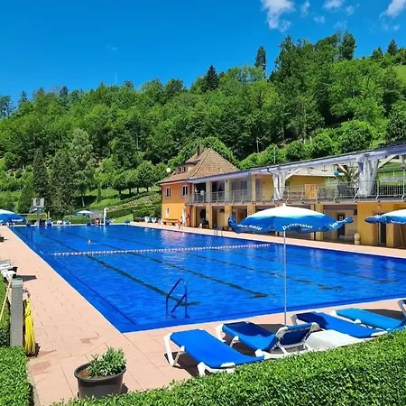 Panter- Traumaussicht Im Schwarzwald Bad Peterstal-Griesbach